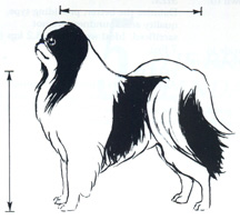 Breed Standard